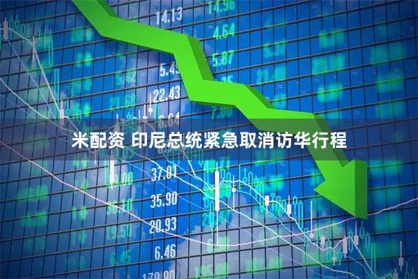 米配资 印尼总统紧急取消访华行程